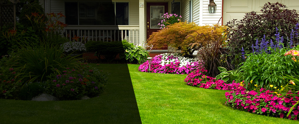 Austin Landscapers