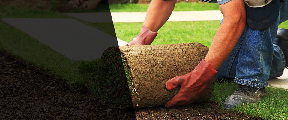 Austin Landscapers